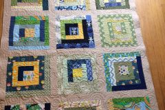 54" x 72" Modern Log Cabin
Jennie M. and Friends
Freemotion swirls
2017 Client Quilt