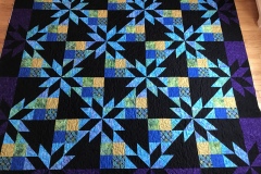 Hunter Star 96" x 96"
Pieced by Susan D.
"Trumpet Vine" Pantograph handguided
2018 Client Quilt