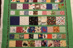 44" x 55" I Spy
Pieced by Carol F.
"Baby Animal" E2E
2018 Client Quilt