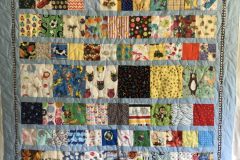 I Spy 44" x 54" 
Carol F
"Wishing Star" E2E
2018 Client Quilt