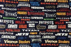 Patriots Quilt Back