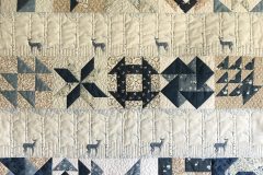 31" x 29" Mini Sampler QuiltPieced by Lynn B.2019 Custom Client quilt