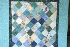 56" x 56" Diamond Charms
Terry P. 
"Trumpet Vine" E2E 
2019 Client Quilt